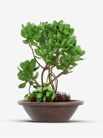 Nilson Basics Artificial Fake Tree