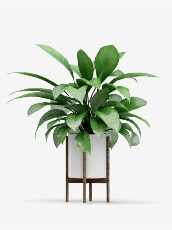 Manda Artificial Tree with Plastic